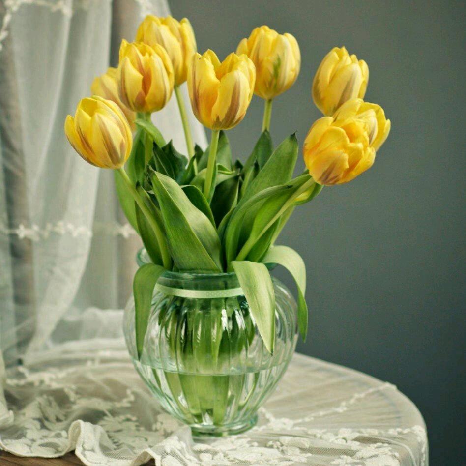 ᕕ༼•̀开︿心•́༽ᕗ