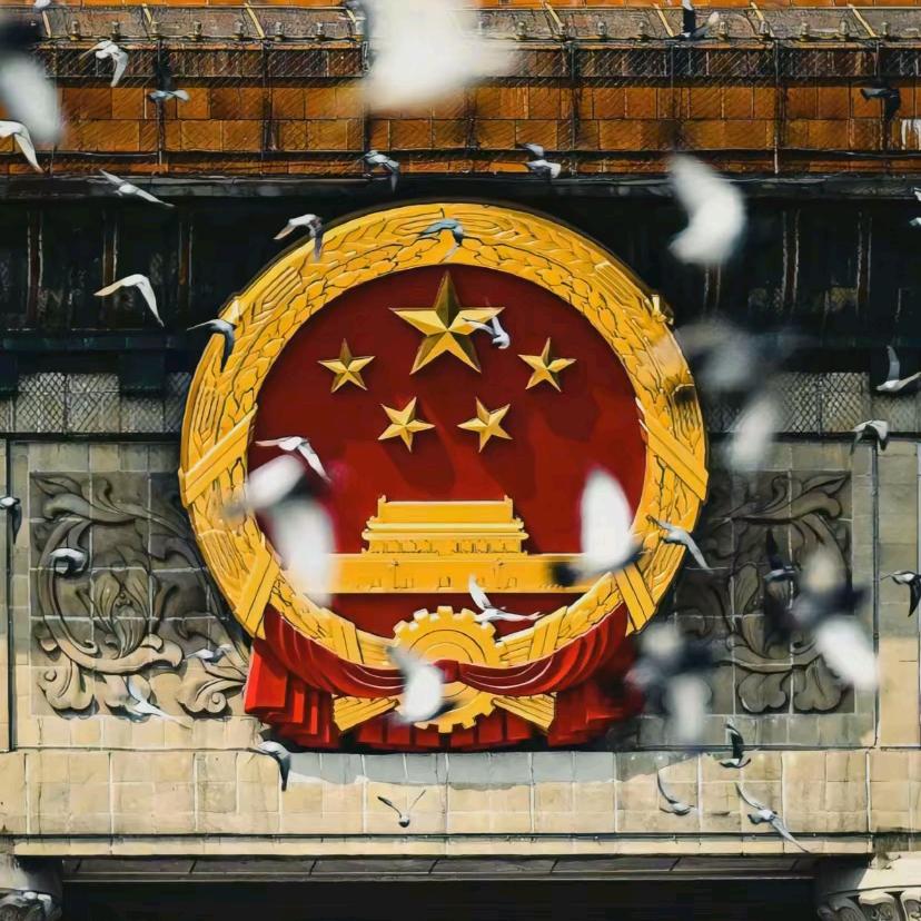 🇨🇳苏神🇨🇳