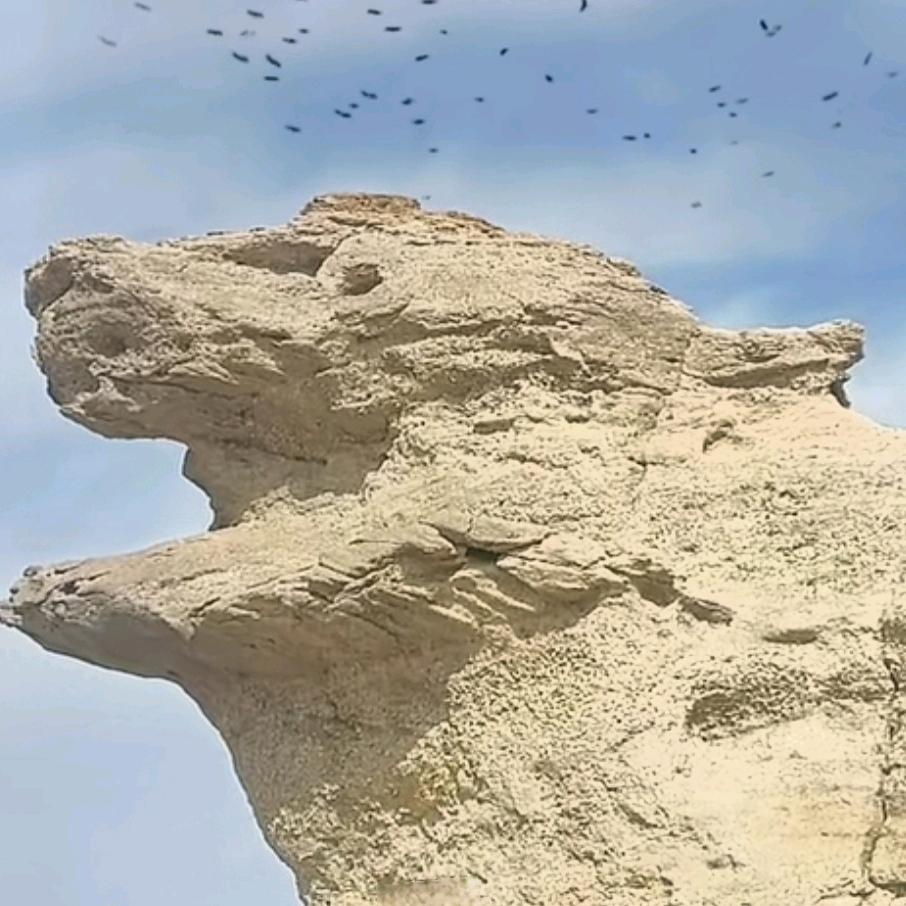 感恩每一天