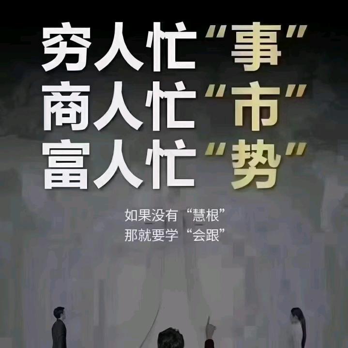 剑向雪