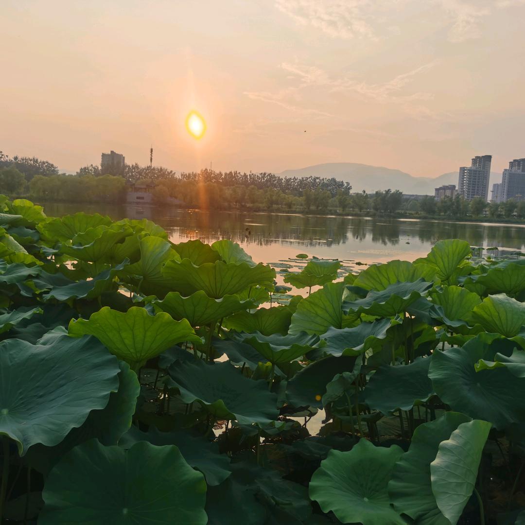 三心🇨🇳一意