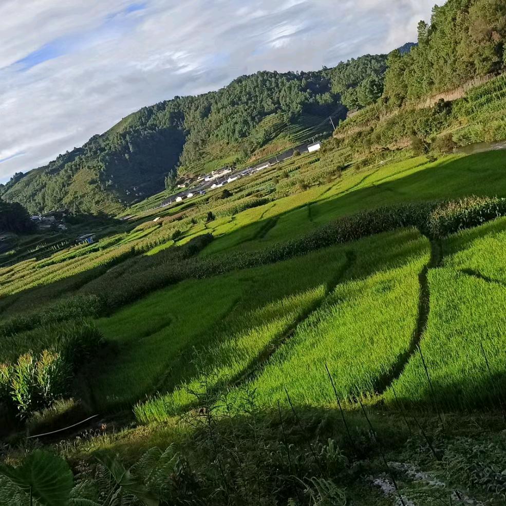 为你明灯三千