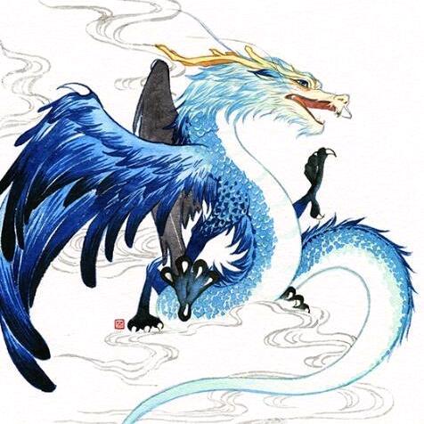 沙漠飞鱼🐟