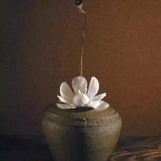 镜缘居士说龙