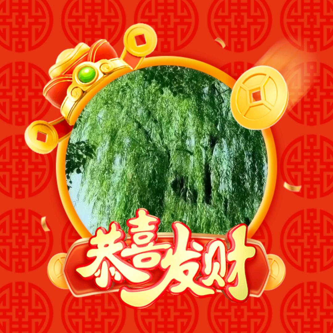 真心相爱