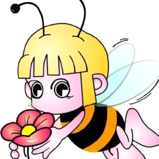 🧚勤劳小🐝蜂🧚