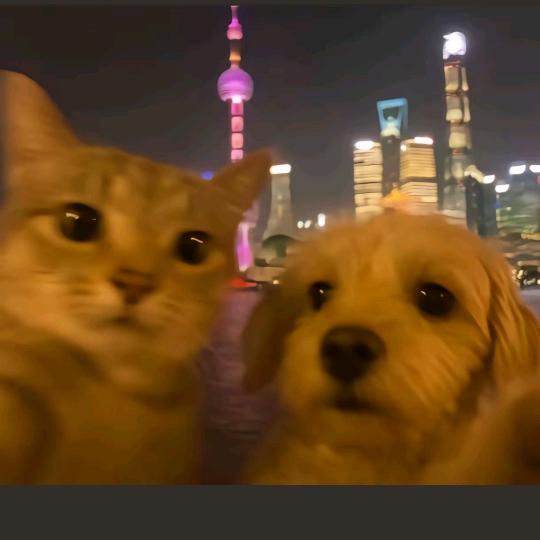 嚯哈哈😎😎😎😎