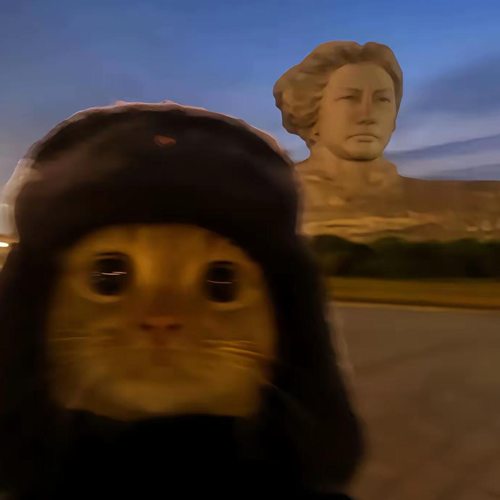 努力提升自己的小强。