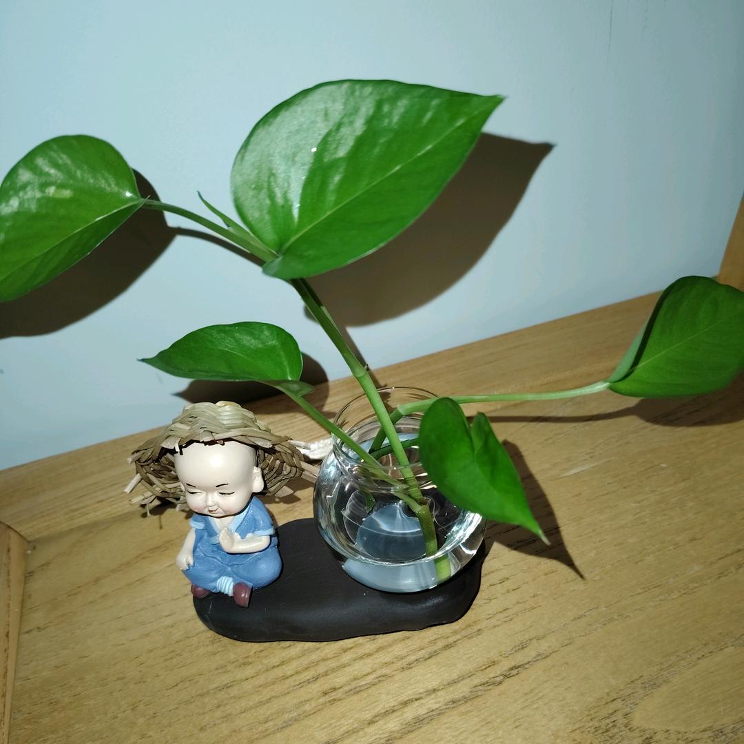 孤独的心