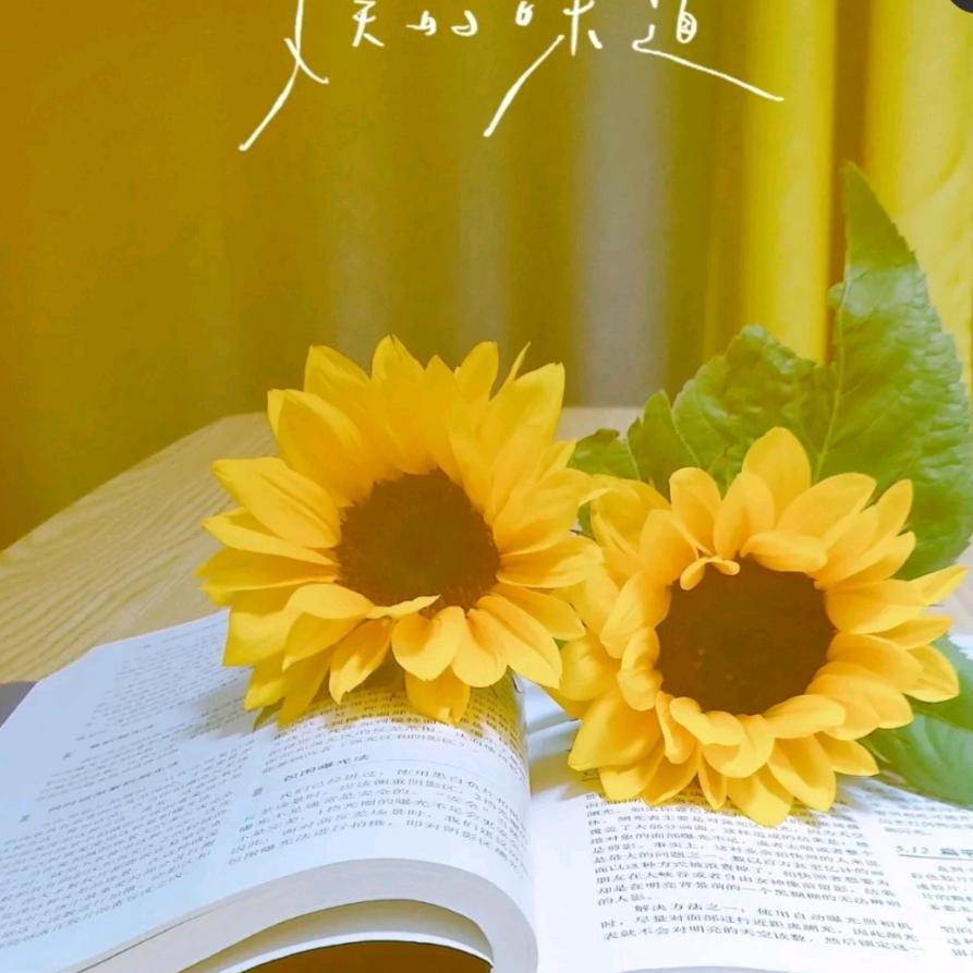 飞鹰