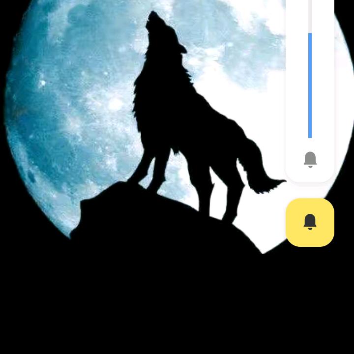 黑色的狼