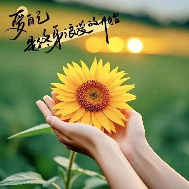 土豆没有泥❤️