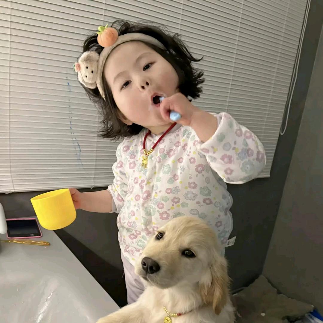 章鱼小丸子