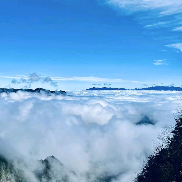 四季椰林椰子鸡团购福利