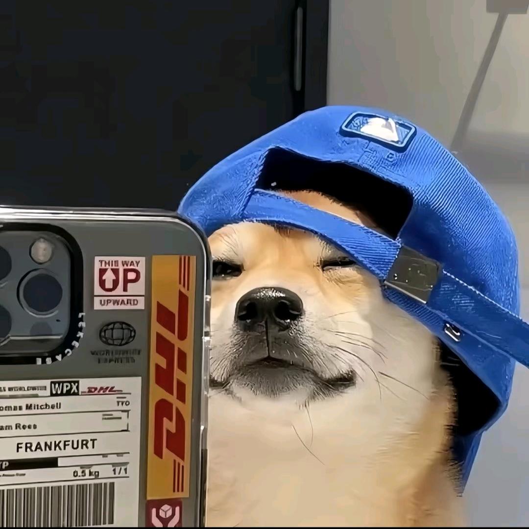 言溯
