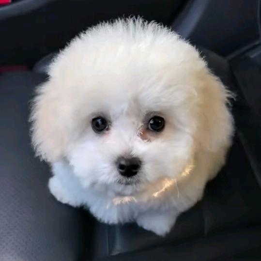 ² º ² ³：ᥫᩣ陆