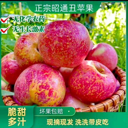 茜茜公主