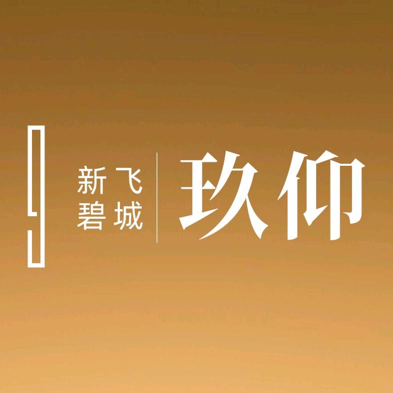 新飞碧城玖仰