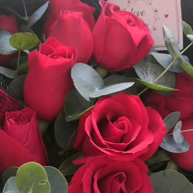 平安🌹🍎🌹🍎🌹👩‍❤️‍👩