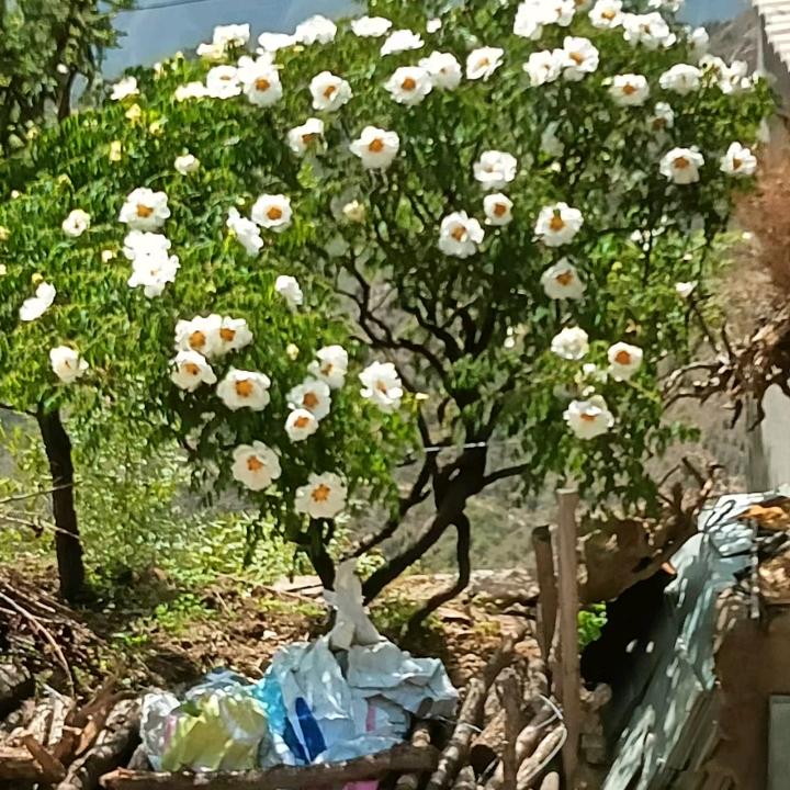 等待下一站
