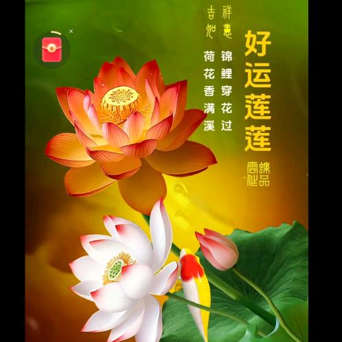围巾饰品
