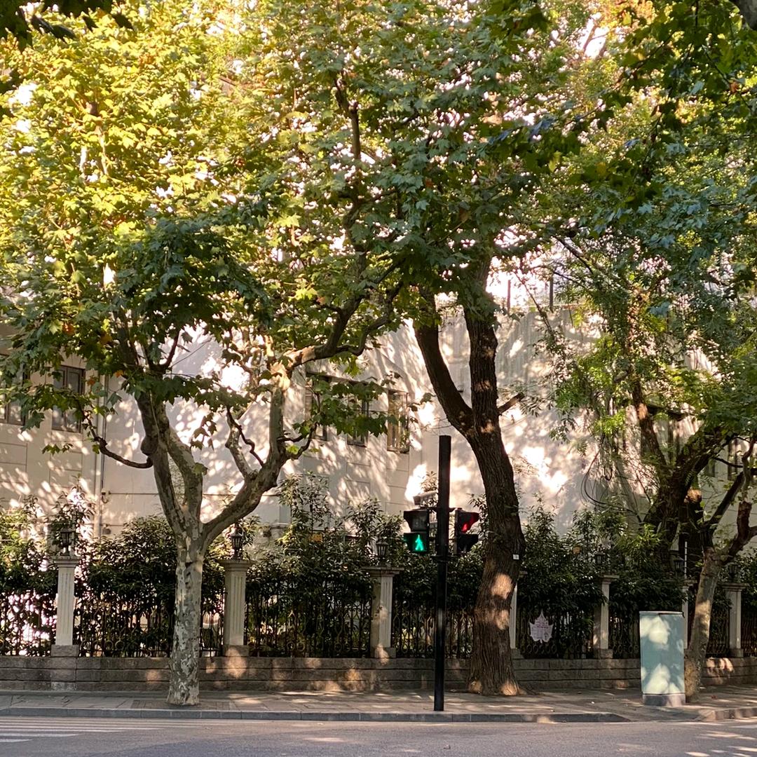 诺诺同学