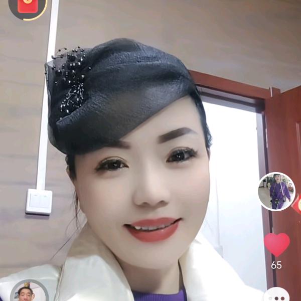 A海燕