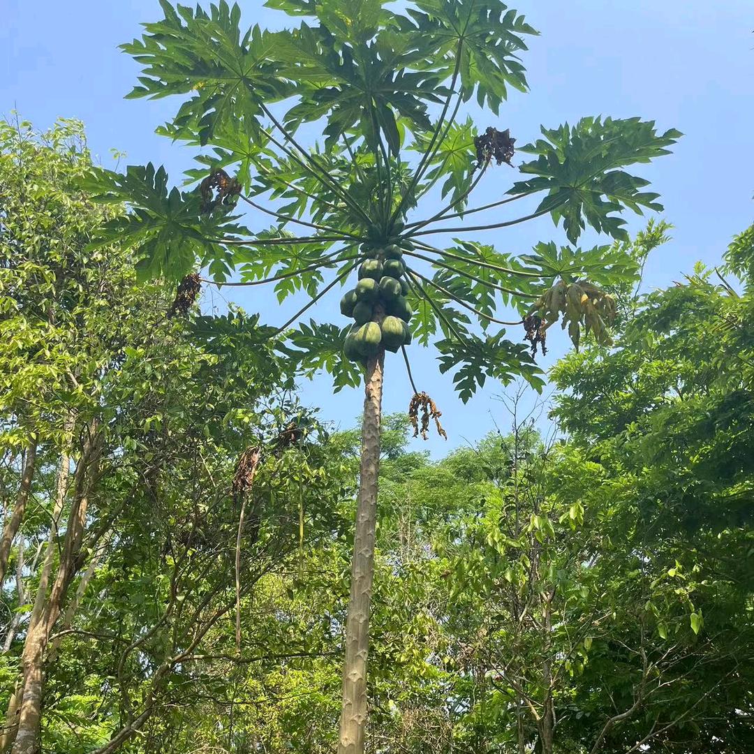 快乐健康😊
