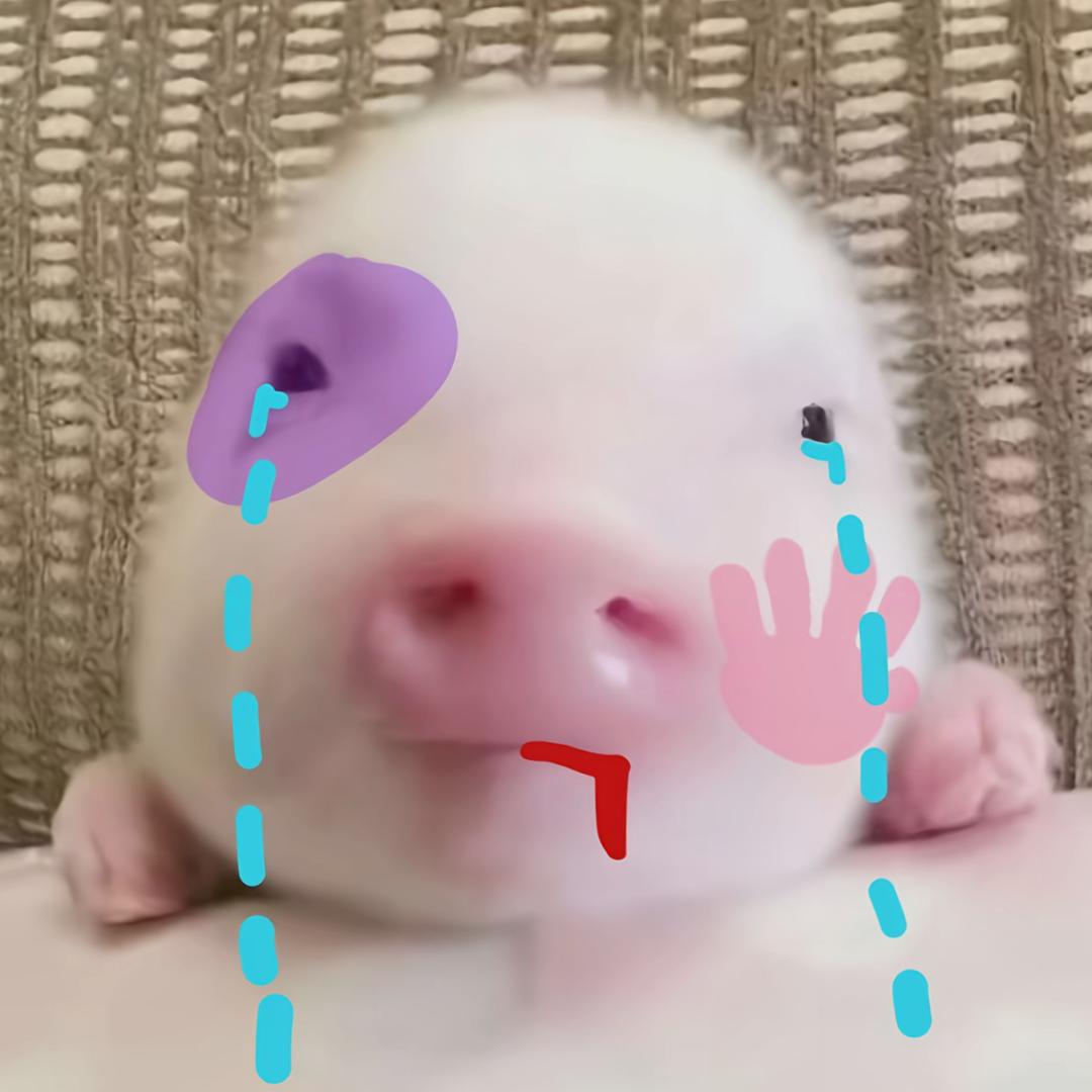 真的不知道叫什么名字