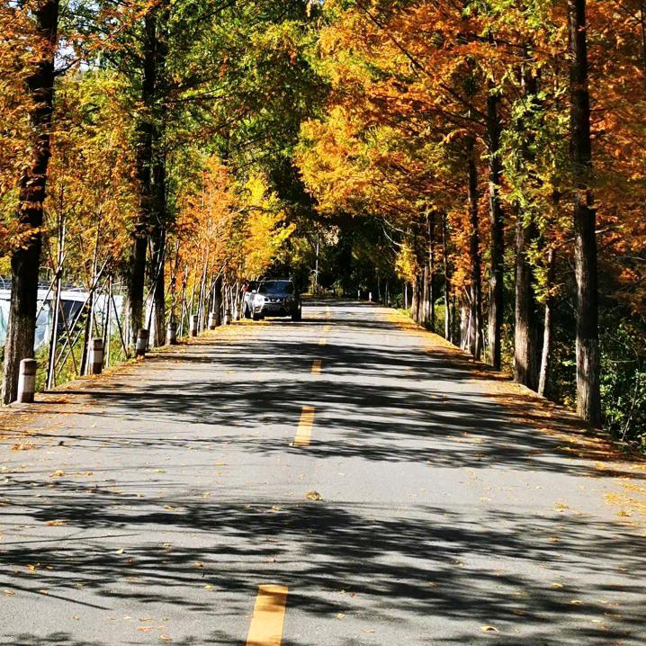 可一医疗有限公司