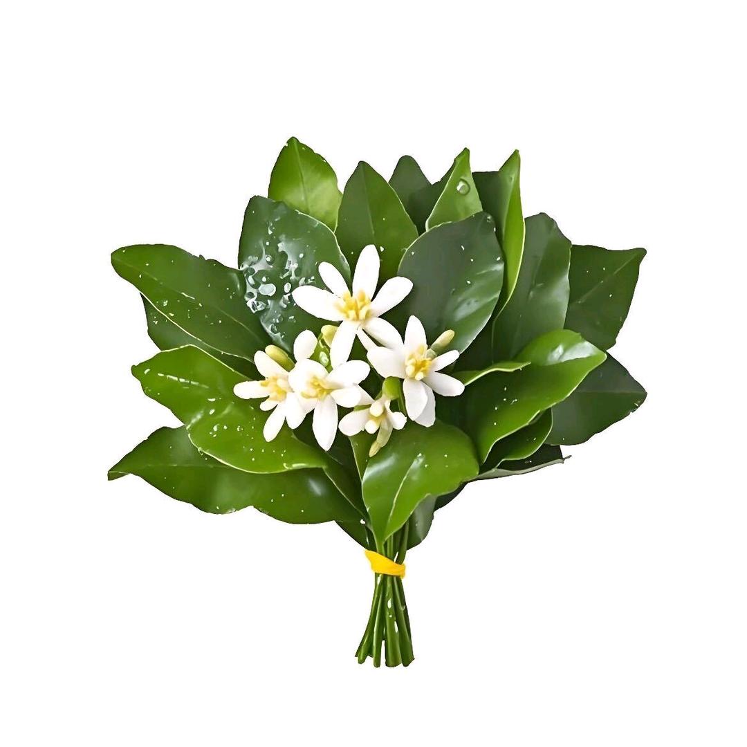 小王喝不多ˣˣᰔᩚ゜