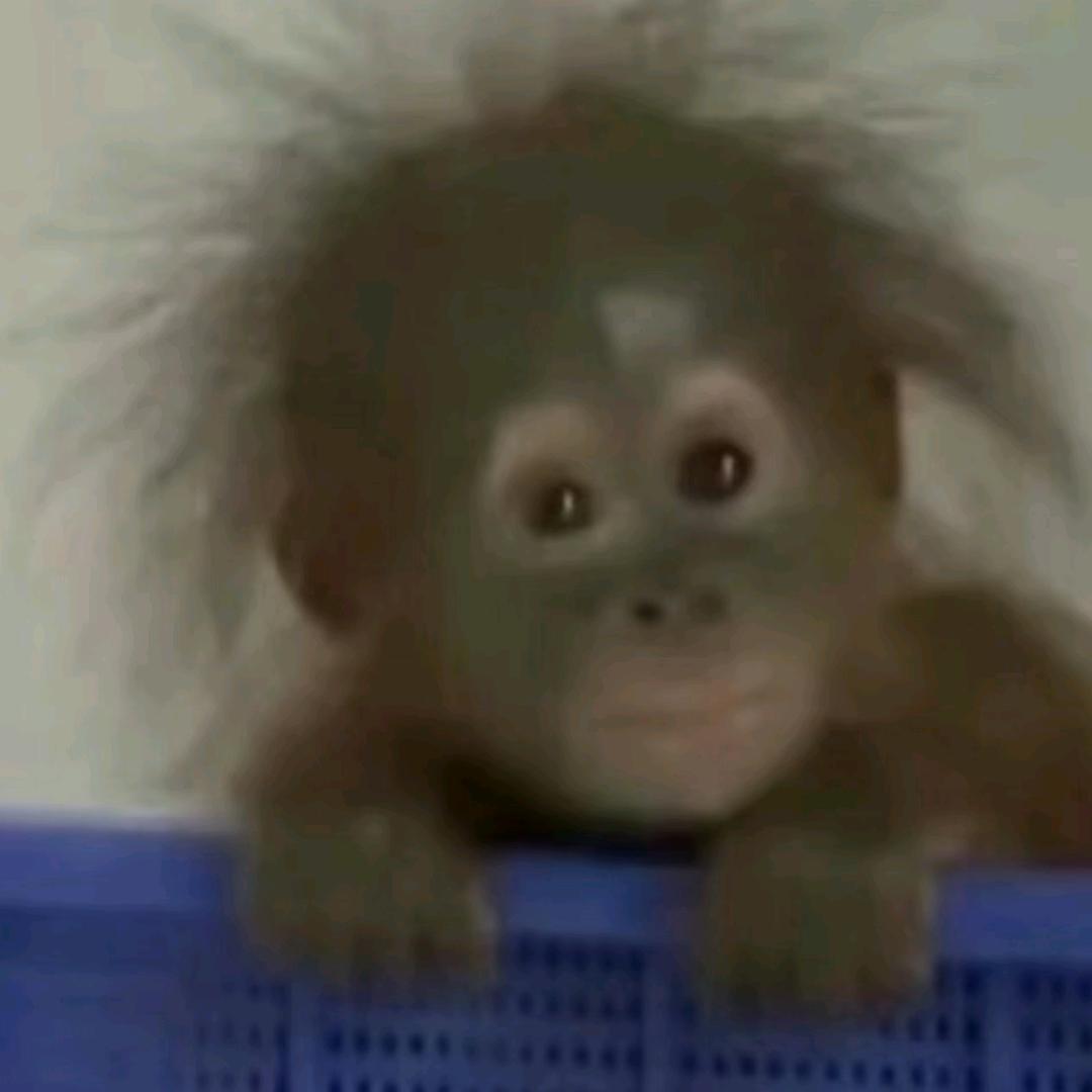 赐我一千万粉丝