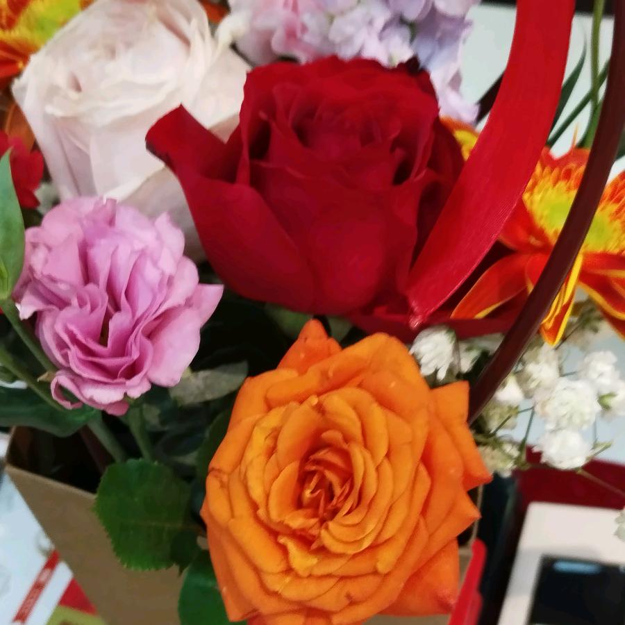 🌹🌷永不放弃。🌺