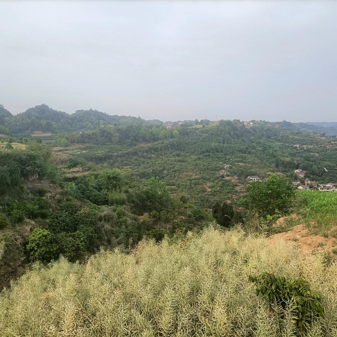 এ᭄境界ོꦿృ༊