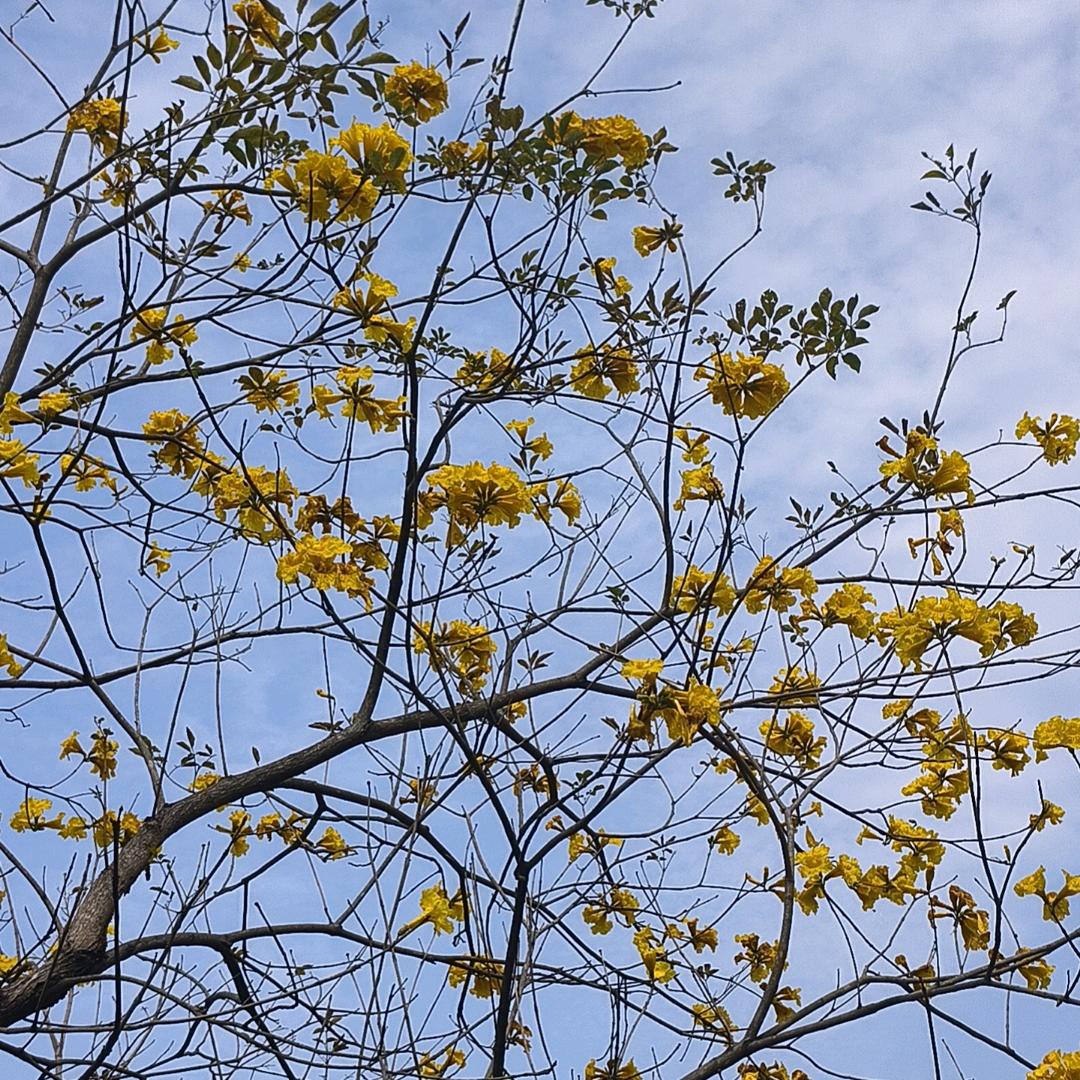 @孤灯༂༃浊酒ཽྀྀྀ