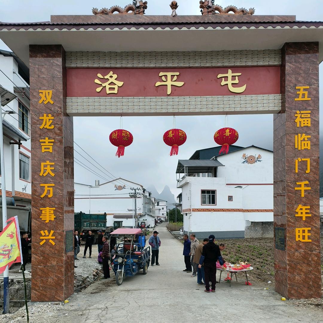 老四