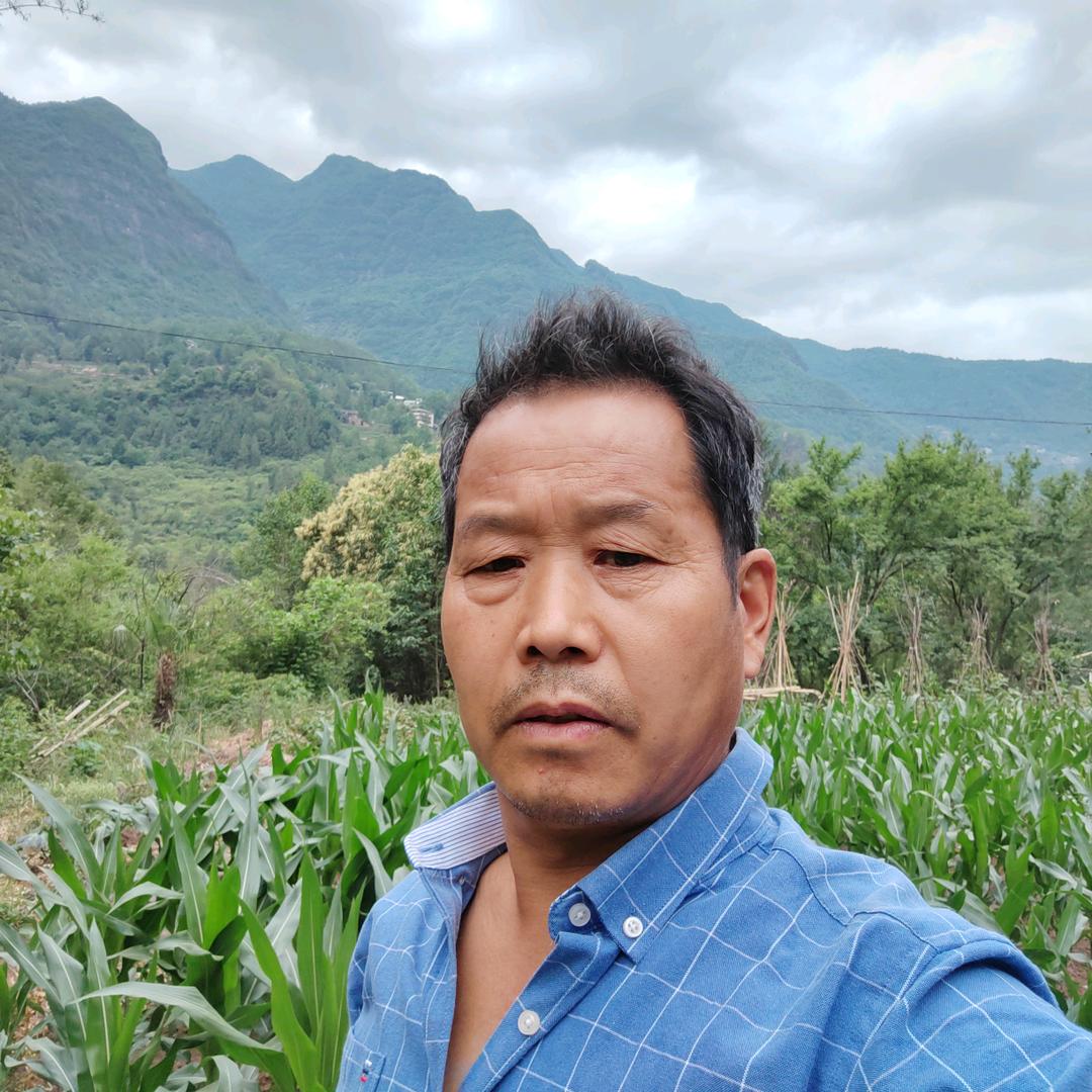 彭义权《首播每天早上6点30》