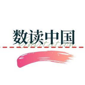 数读中国