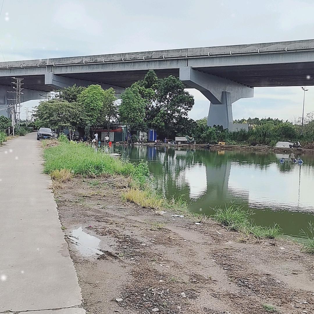复兴钓鱼场