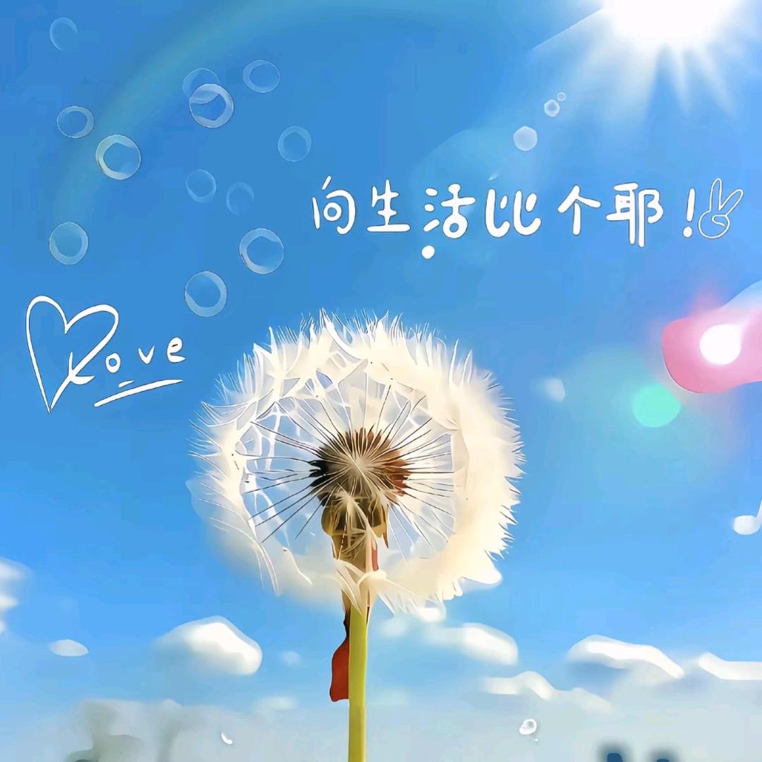 ꧁༺半颗༒糖༻꧂