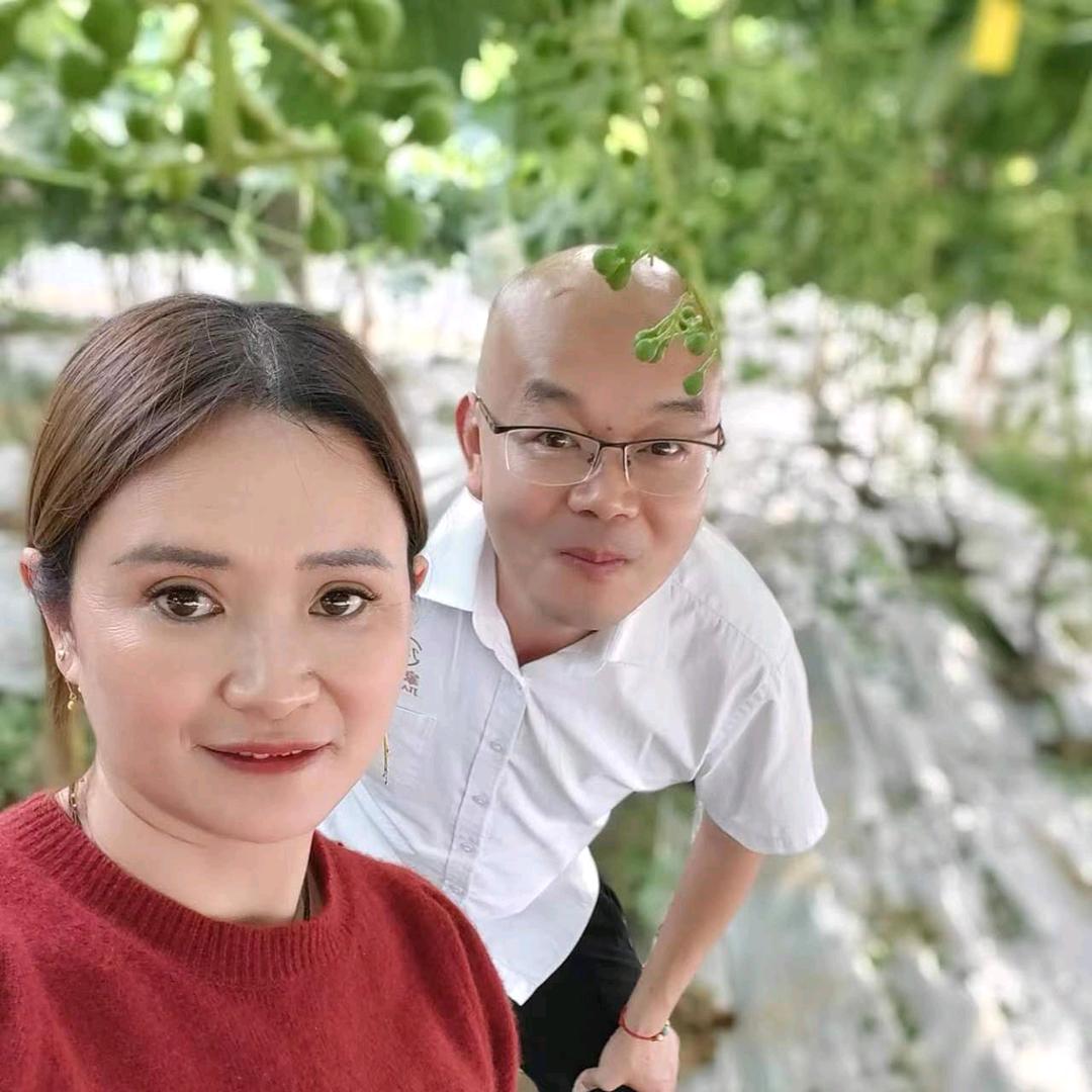 凤涛农业火龙果～大表哥