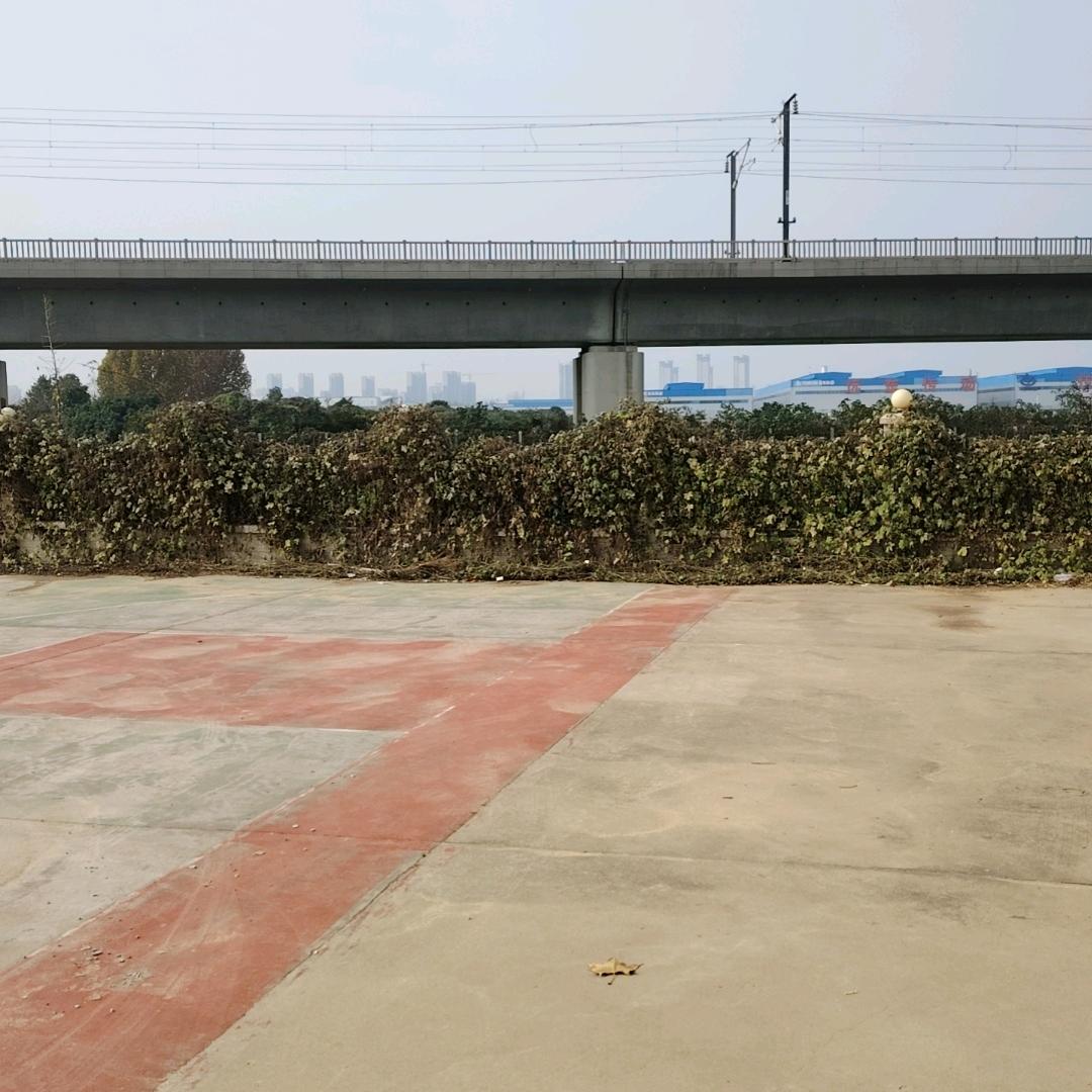 独看风景
