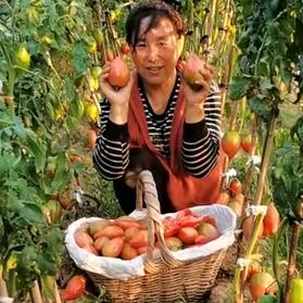 农家菜园
