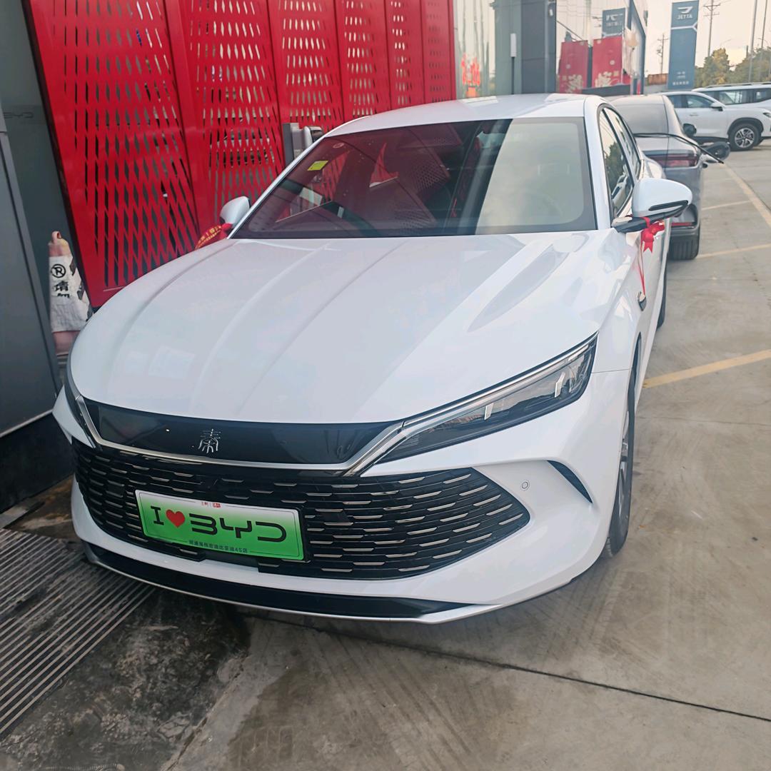 开秦L（智驾版）的小鱼