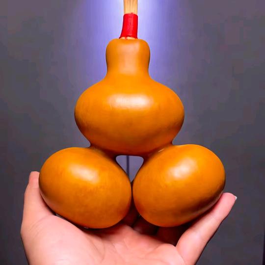奔跑吧杨杨