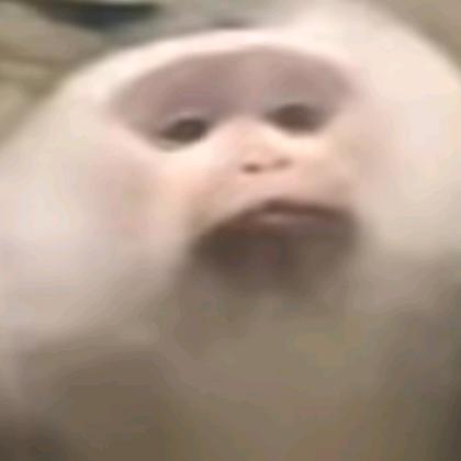 服不服不服