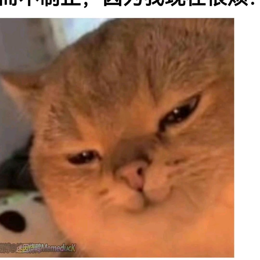 平头可乐爱bye丝