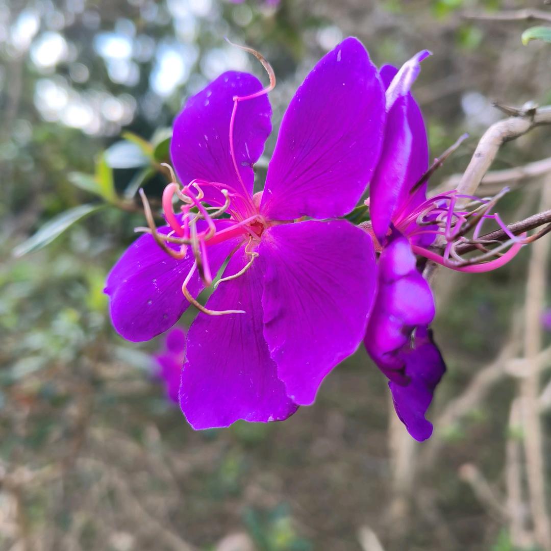 潮州装修方姐☜