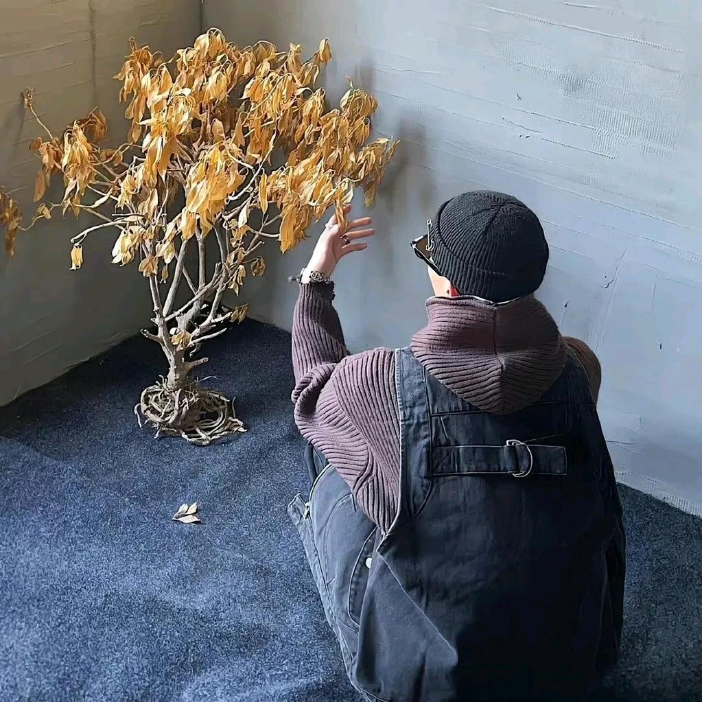 可望而不可及