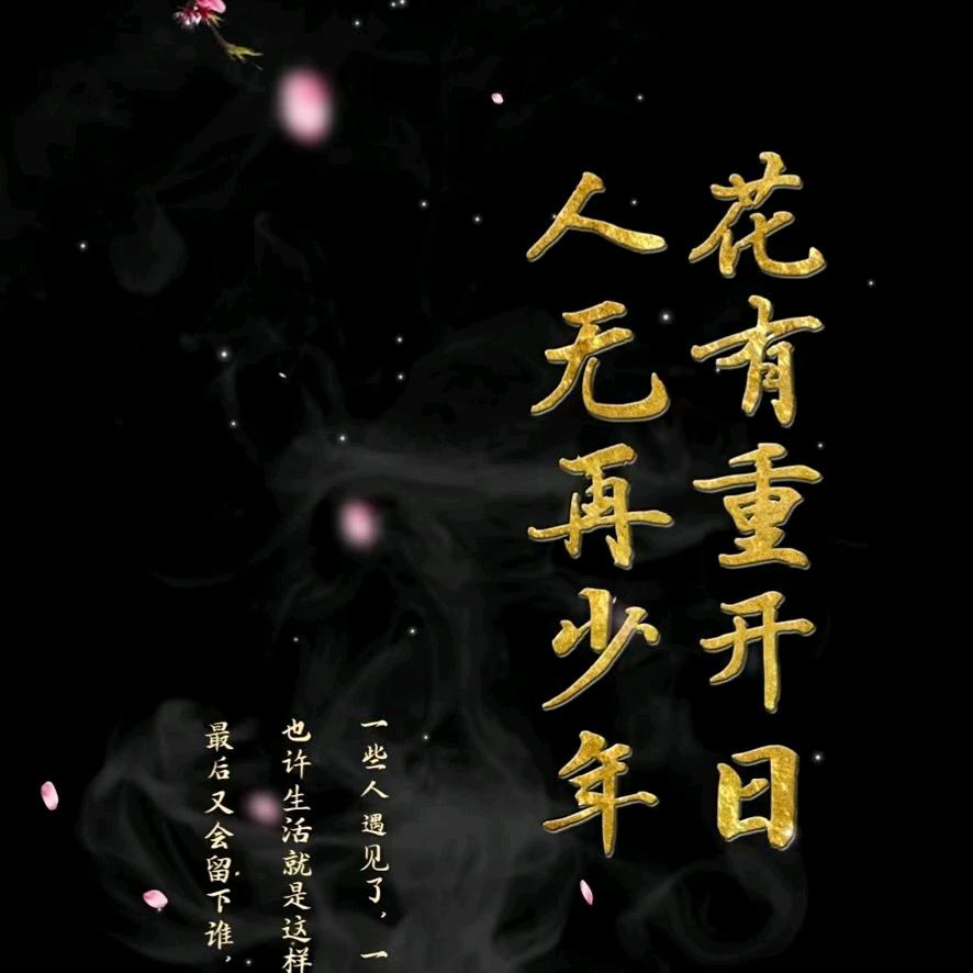 ꩵꦿ一生无忧ꦿꦙ🕊️